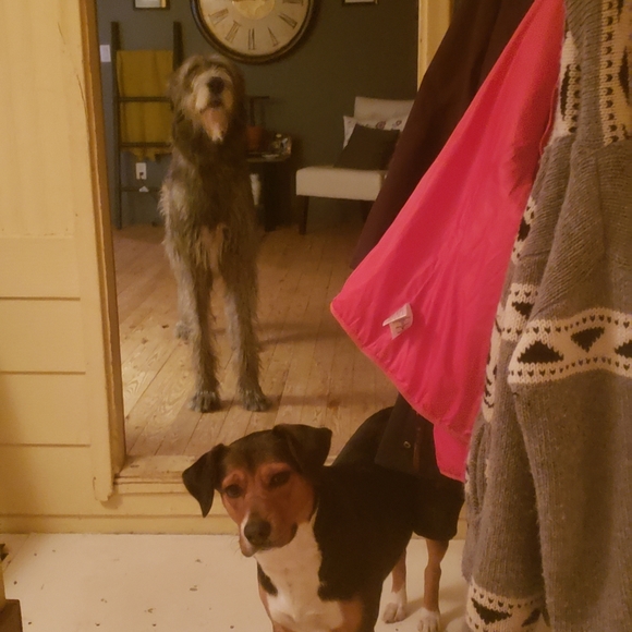 Meet your Posher, Amanda - Picture 5 of 6